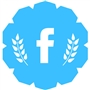 за добавление facebook