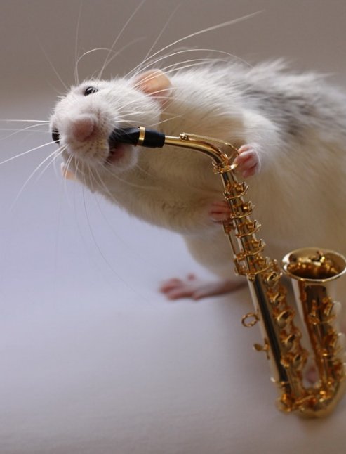 1220