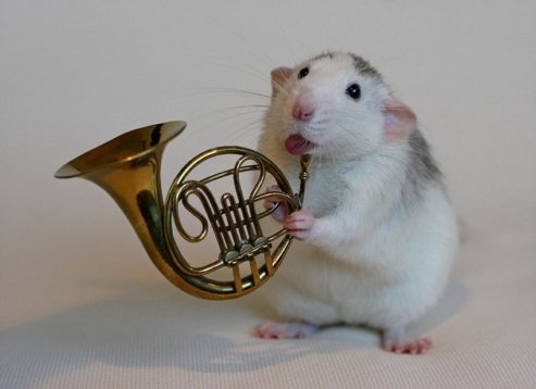 1225