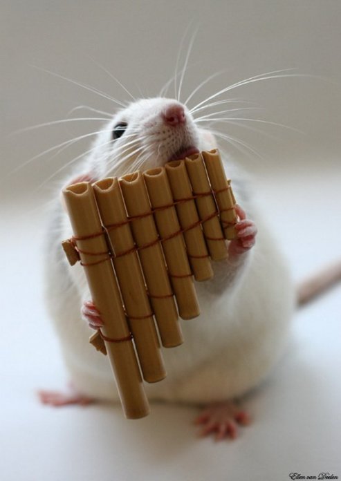 1214