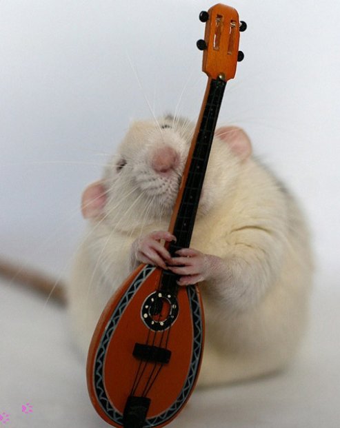 1216